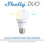 Shelly Duo