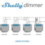 Shelly Dimmer 2