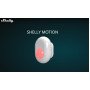 Shelly Motion